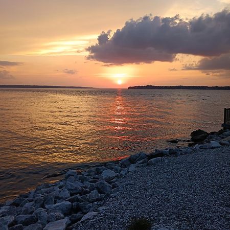 The Gemini-A Dreamy, Waterfront Tiny Cabin Rogersville 外观 照片
