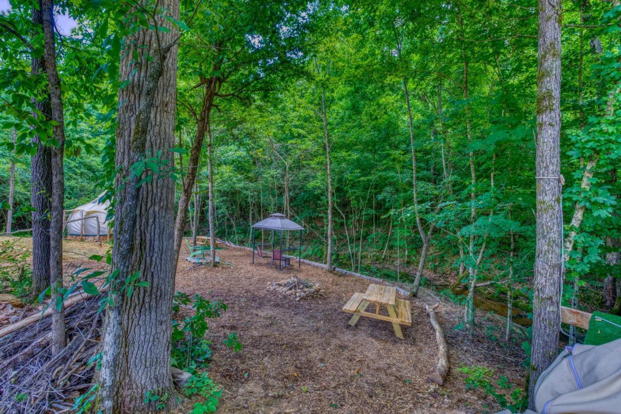 The Gemini-A Dreamy, Waterfront Tiny Cabin Rogersville 外观 照片
