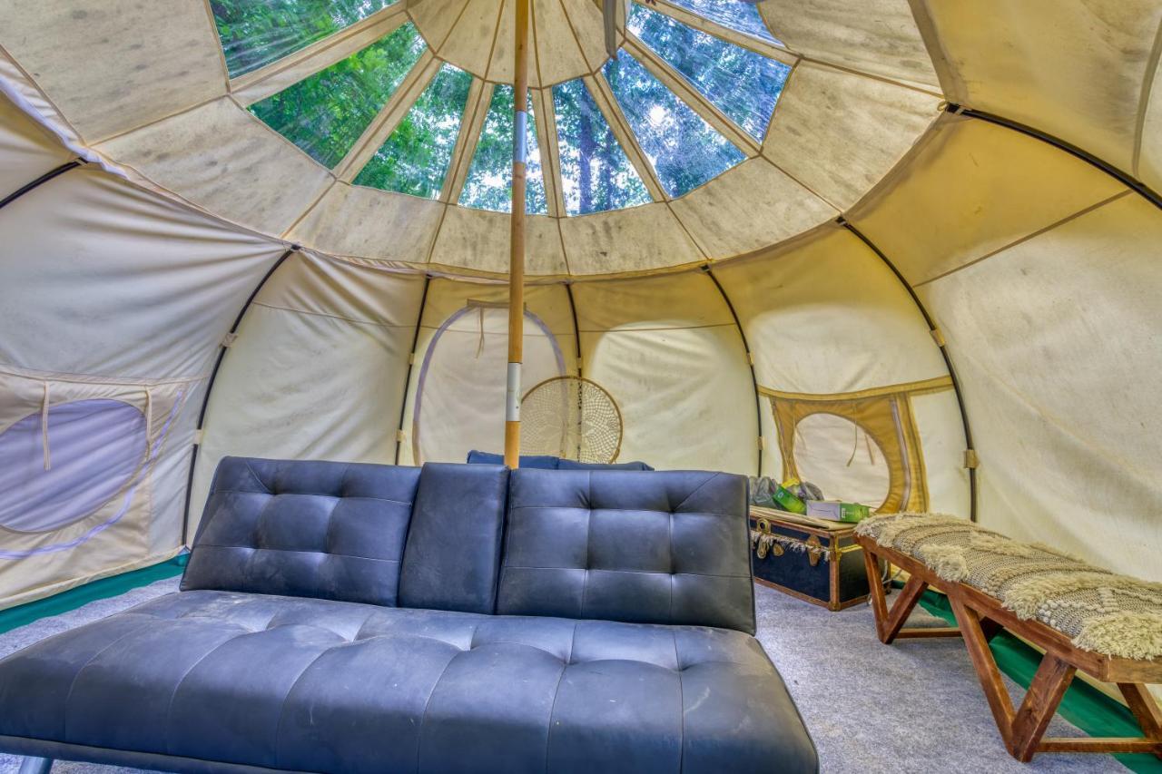 The Gemini-A Dreamy, Waterfront Tiny Cabin Rogersville 外观 照片