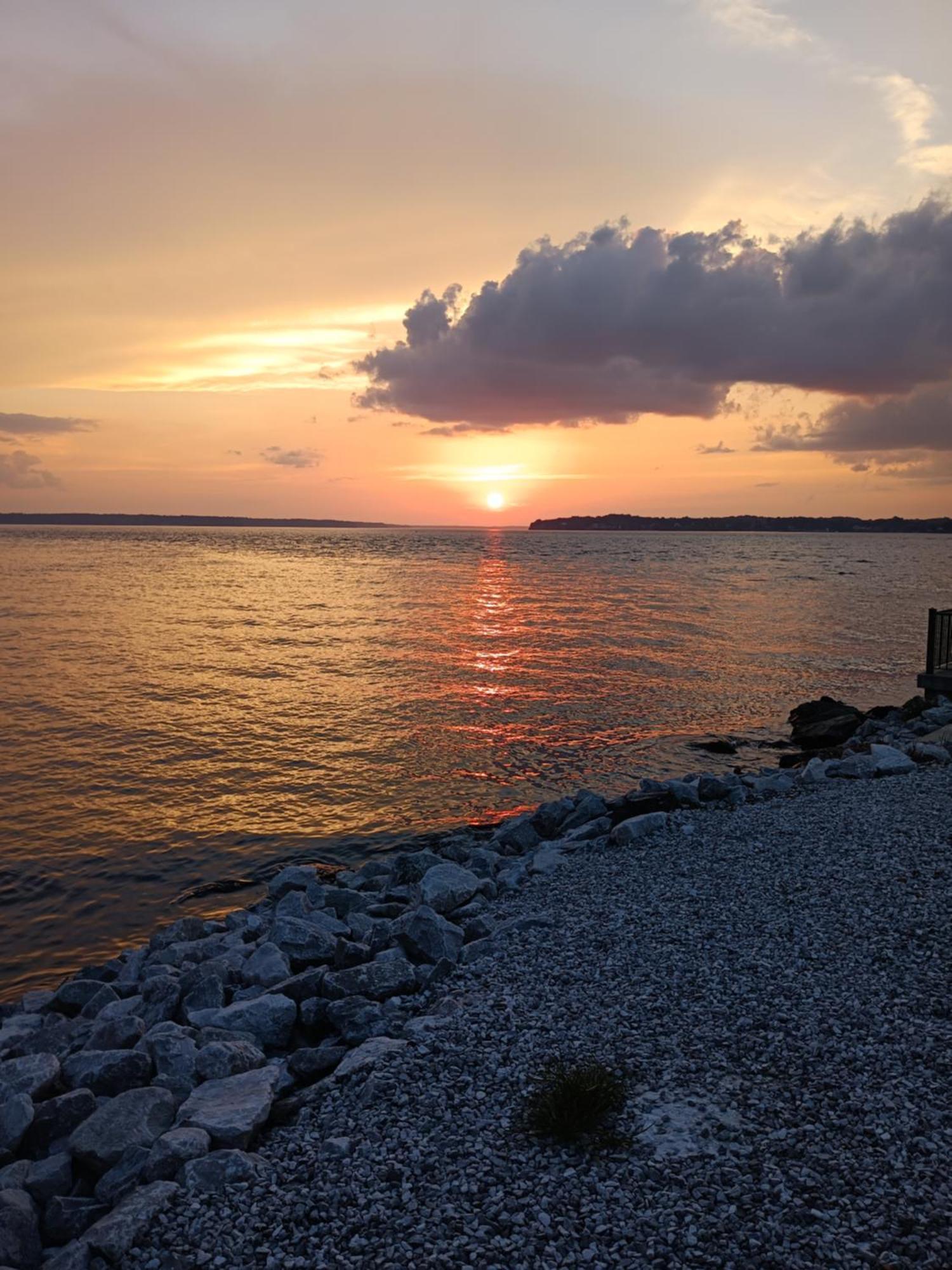 The Gemini-A Dreamy, Waterfront Tiny Cabin Rogersville 外观 照片